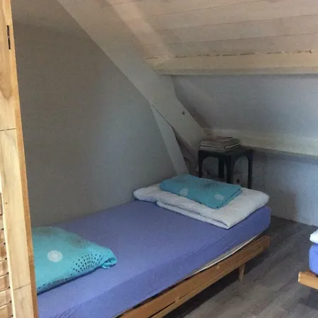 Loft Max